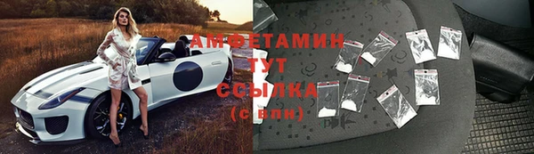 сатива Новодвинск