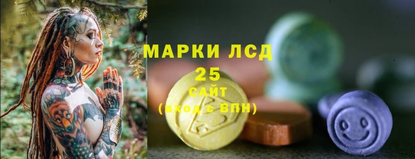 сатива Новодвинск