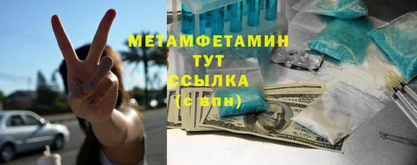 сатива Новодвинск
