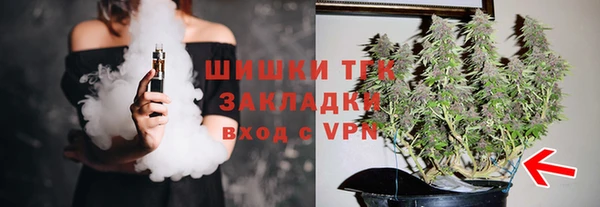spice Няндома