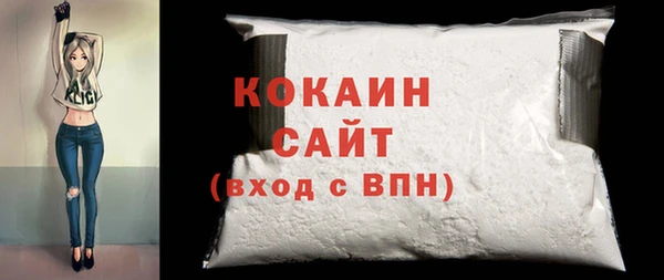 сатива Новодвинск