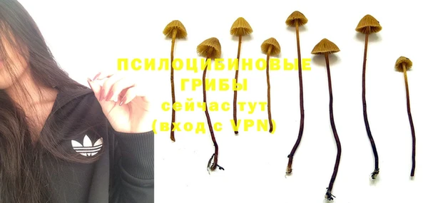 трава Новозыбков