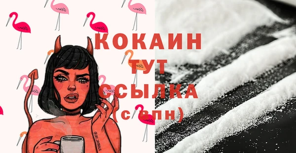 сатива Новодвинск