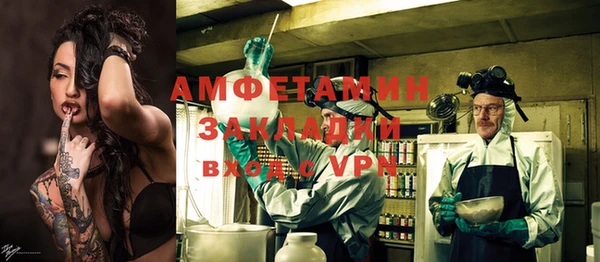 трава Новозыбков