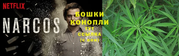 трава Новозыбков