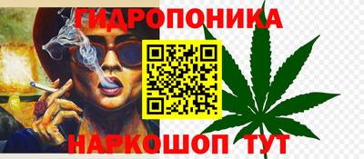 2c-b Гусев
