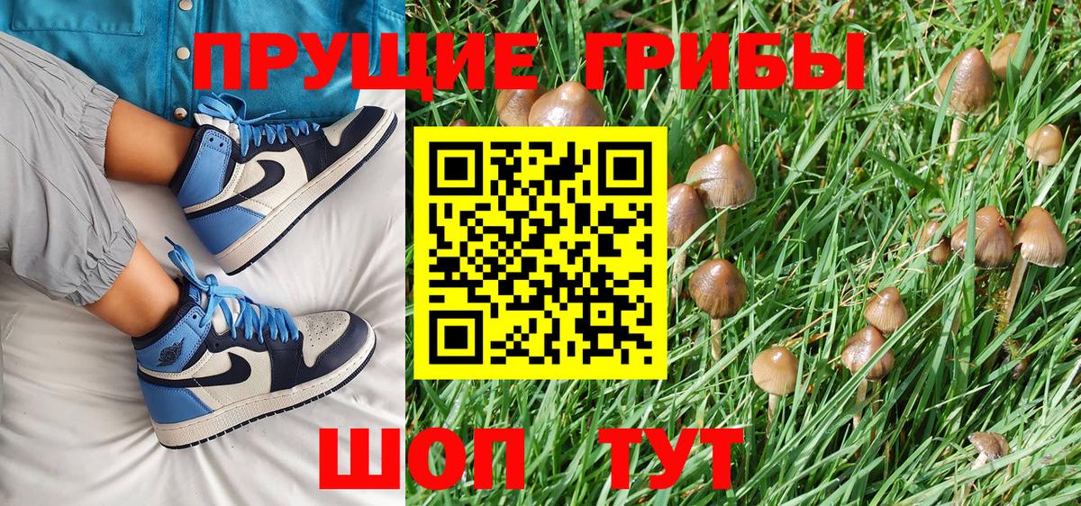 Галлюциногенные грибы Cubensis  Вход с VPN  Галлюциногенные грибы Psilocybine cubensis  Советский 