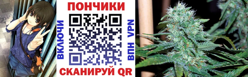 Конопля индика  Советский 